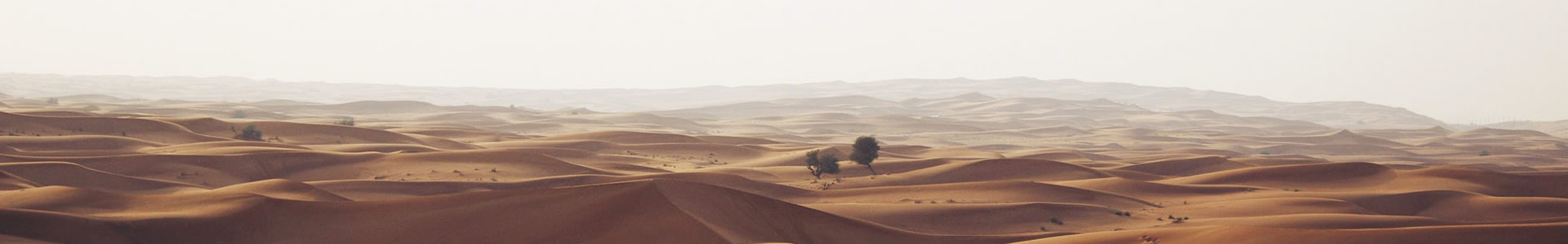 ļذװ޹˾